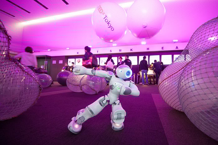 00001222_00002620_00000011